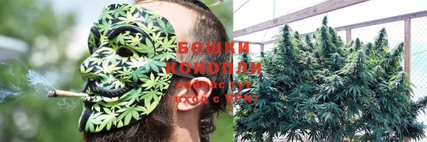 прущая мука Чекалин