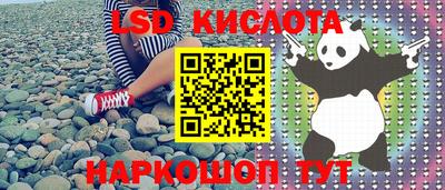 прущие грибы Волжск