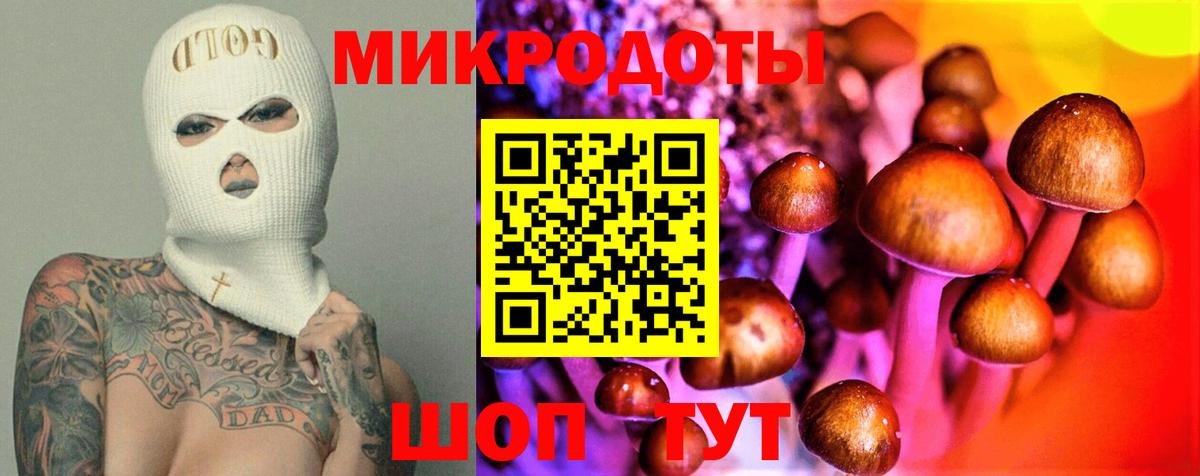 Псилоцибиновые грибы мицелий Верхний Уфалей