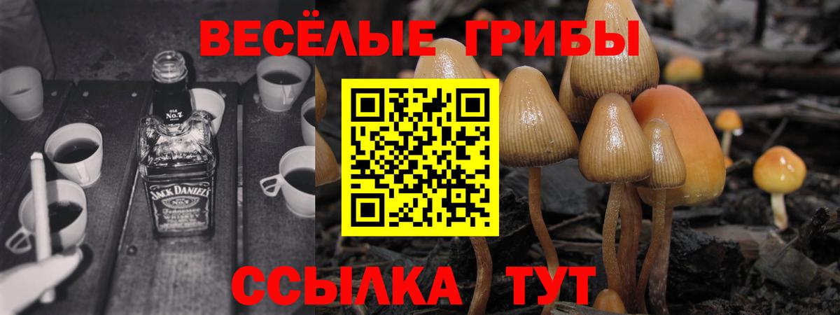 Галлюциногенные грибы прущие грибы Верхний Уфалей